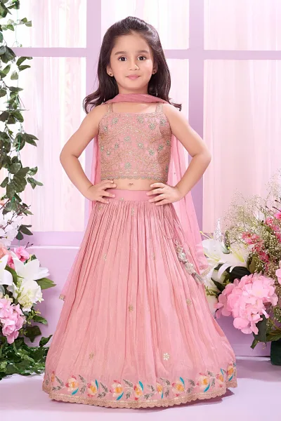 Onion Pink Sequins, Stone, Zari and Thread work Lehenga Choli